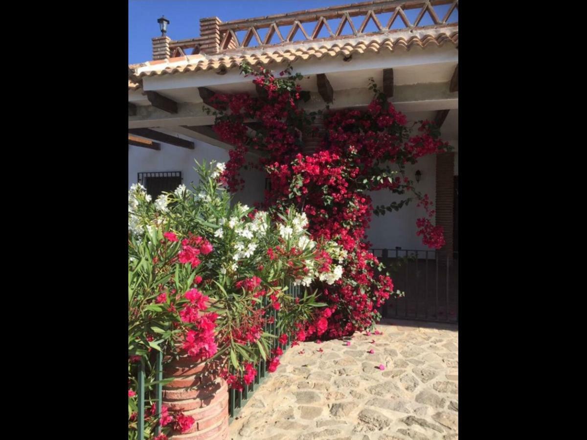 Villa Zahar Periana Εξωτερικό φωτογραφία