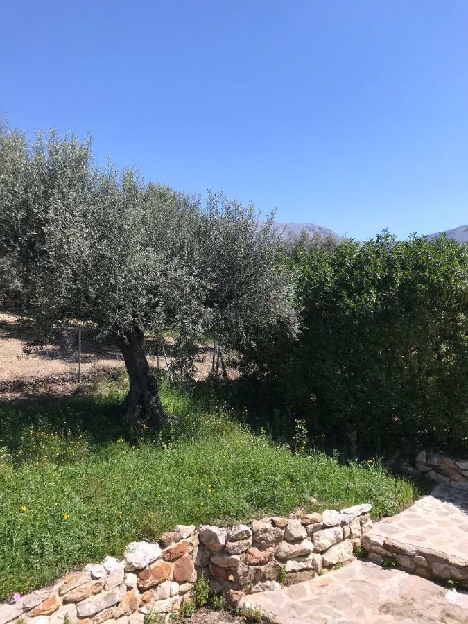 Villa Zahar Periana Εξωτερικό φωτογραφία