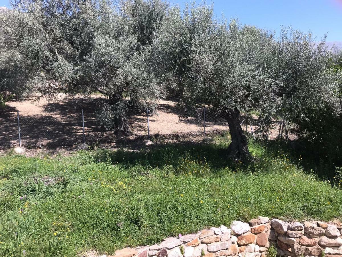 Villa Zahar Periana Εξωτερικό φωτογραφία